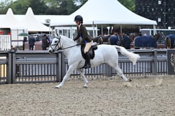 A30_2100 2026