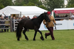 W29_0856 2026