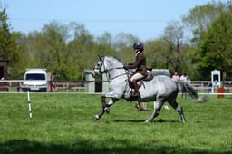 M19_0551 2026