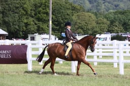E42_0533 2026