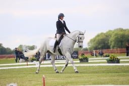 359 DALGAN MATCH