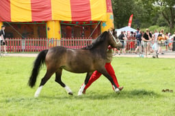 E34_2981 2026