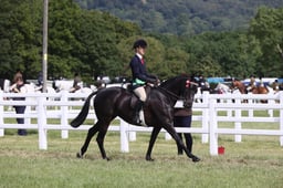E43_0505 2026