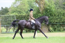 M36_2186 2026