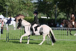C33_0456 2026