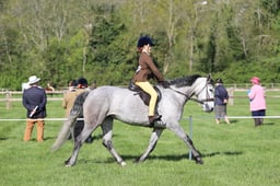 C19_0426 2026