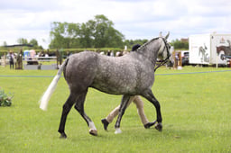 J36_5816 2026