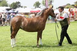 E34_2004 2026