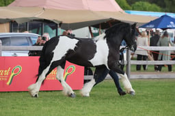 S28_9416 2026