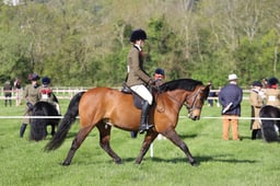 C19_0405 2026