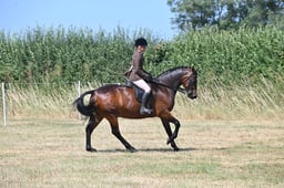 S60_0636 2026