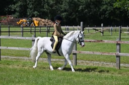 H249 SFAS First Ridden