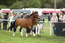 E29_0544 2026