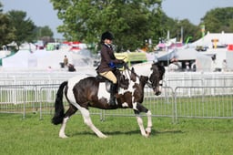 C34_0504 2026