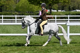 59-55 M&M Open Ridden Championship
