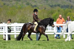 H19_0674 2026