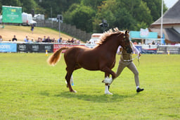 E69_1064 2026