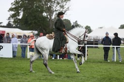 E30_5452 2026
