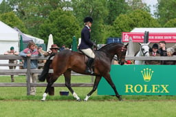136 Intermediate Hack