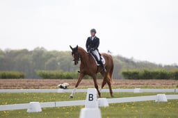 A15_0368 2026