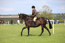 W36_2559 2026