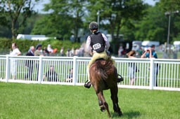F33_1070 2026