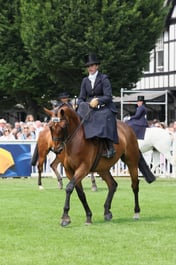 28 Intermediate Side Saddle