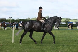 E36_0403 2026