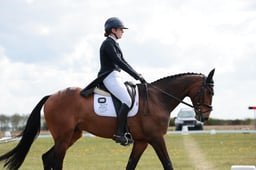 B16_0557 2026