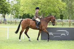 E28_1418 2026
