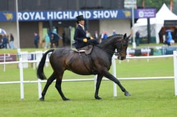 H44_2004 2026