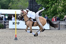 Pony Club Mounted Games