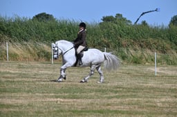S60_0563 2026