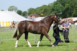 C33_1044 2026