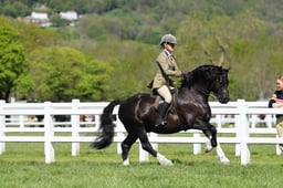 H19_0413 2026