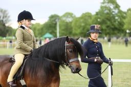 108 M&M Open Lead Rein