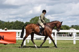 CLH214 Open Ridden RoR