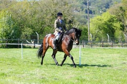 M19_0696 2026