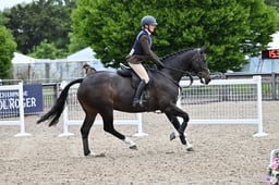 A30_1607 2026