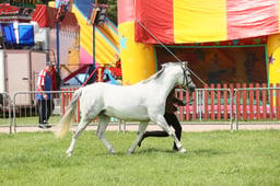 E34_1935 2026