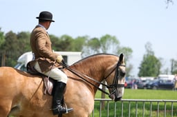 40 RIHS Ridden Cob Heavyweights