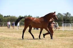 H60_0734 2026