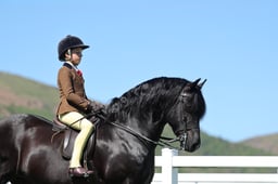 09 HOYS JNR Ridden M&M Large Breeds
