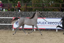 Junior Female Championship