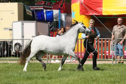 E34_1265 2026