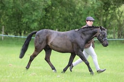 J36_6578 2026