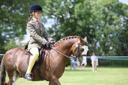 48 Unaffiliated Ridden Plaited Pony