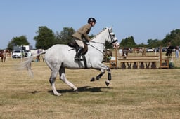E60_0503 2026