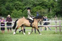 S43_0024 2026