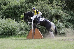 C35_2384 2026